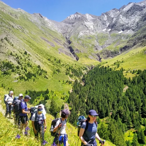 Perdiguero con guia Trekking
